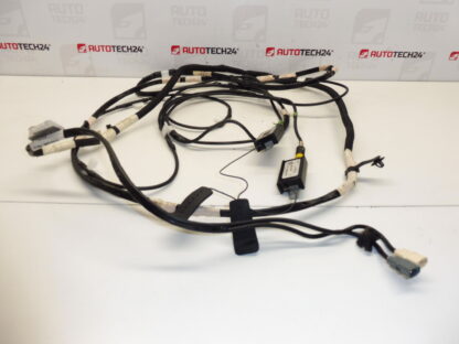 Antenne lijn impedantie adapters Citroen Peugeot 1401099880 1499494080 1499493080