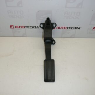 Gaspedaal Citroën Peugeot 78110-0H010 78110-0H011 1601ET