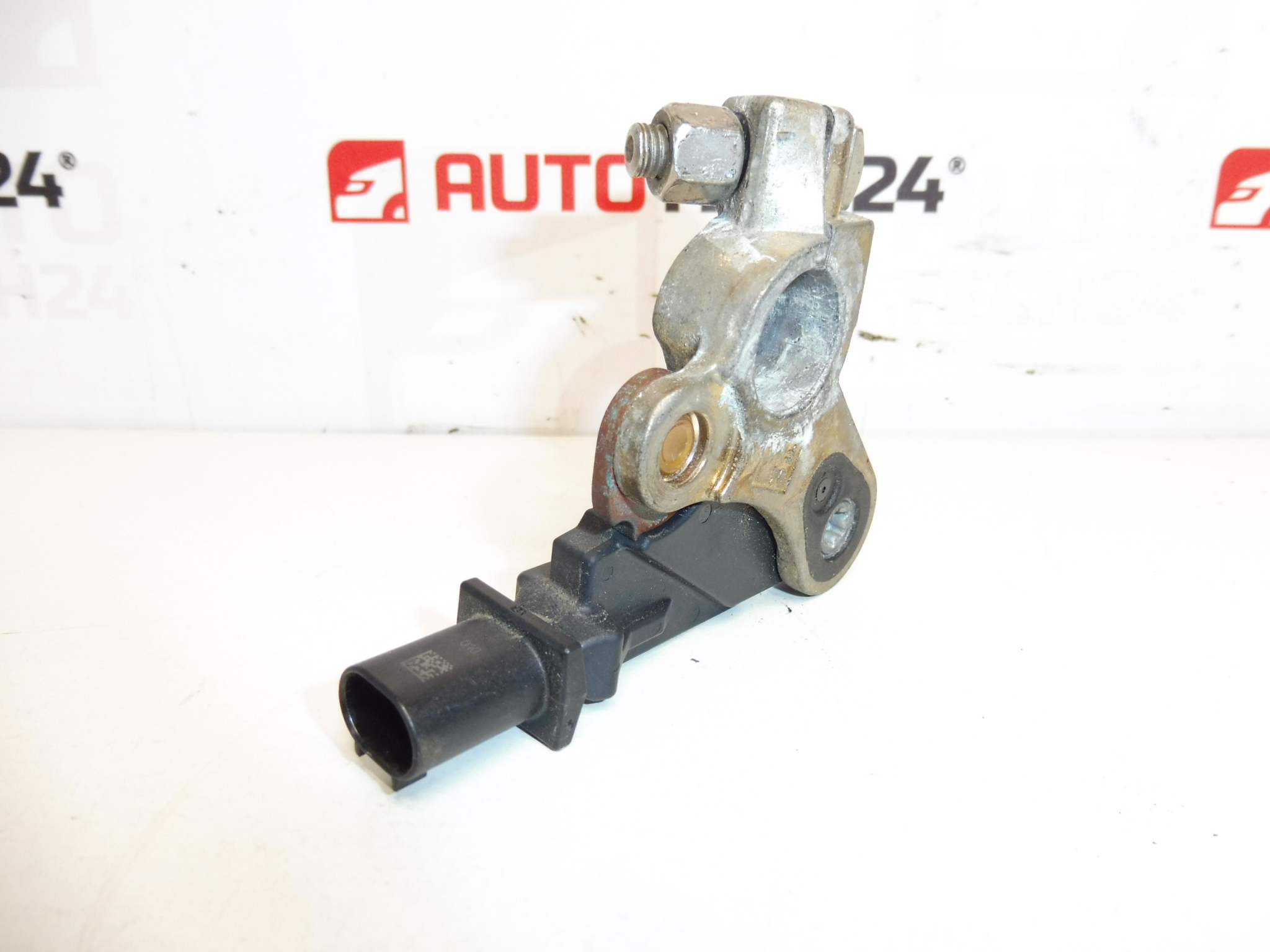 Citroën Peugeot acculaadeenheid 9667109380 9802043480 6500KS