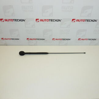 Antenne compleet Citroën C3 Pluriel 6561R7 656197