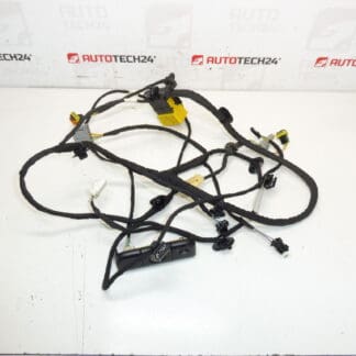 Citroen C4 Picasso Valeo 5243596 Driverstoel