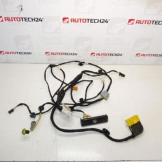 Citroen C4 Picasso Valeo 6505W3 5243586 Zitbundel