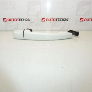Citroën Peugeot EWBP 9101GH Doorhandgreep
