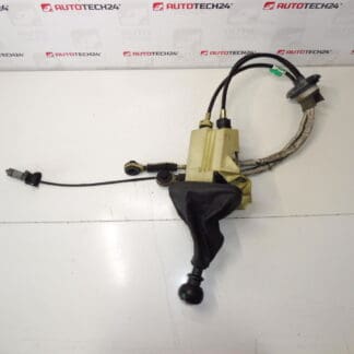 De achtergrond en de verschuiving van 6 snelheden Citroën Peugeot 2400p7 2444X8 241059