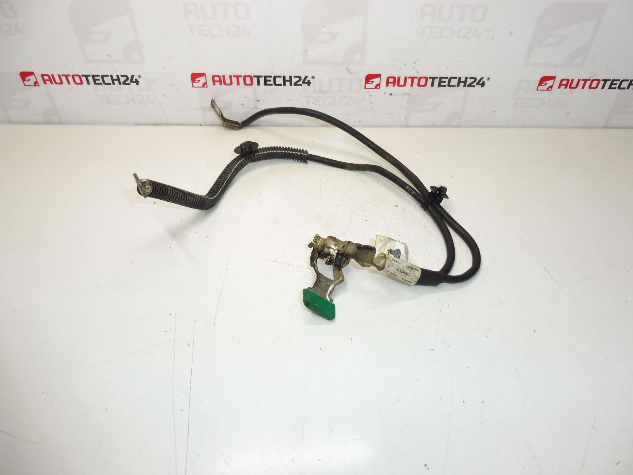 Citroën Peugeot 9661191580 minus bundel