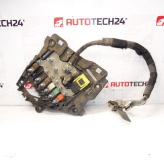 Citroën Peugeot 9675123880 Zekeringmodule