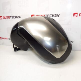 Links achteraanzicht Mirror Chrome Citroën C3 Picasso 1609347480