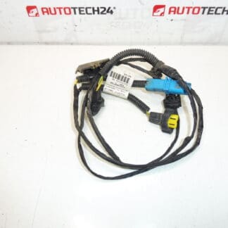 Citroen Peugeot 9653900780 6567LQ bundel