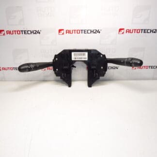 Bestuurders Citroën C4 96644963XT 6242HJ 624346