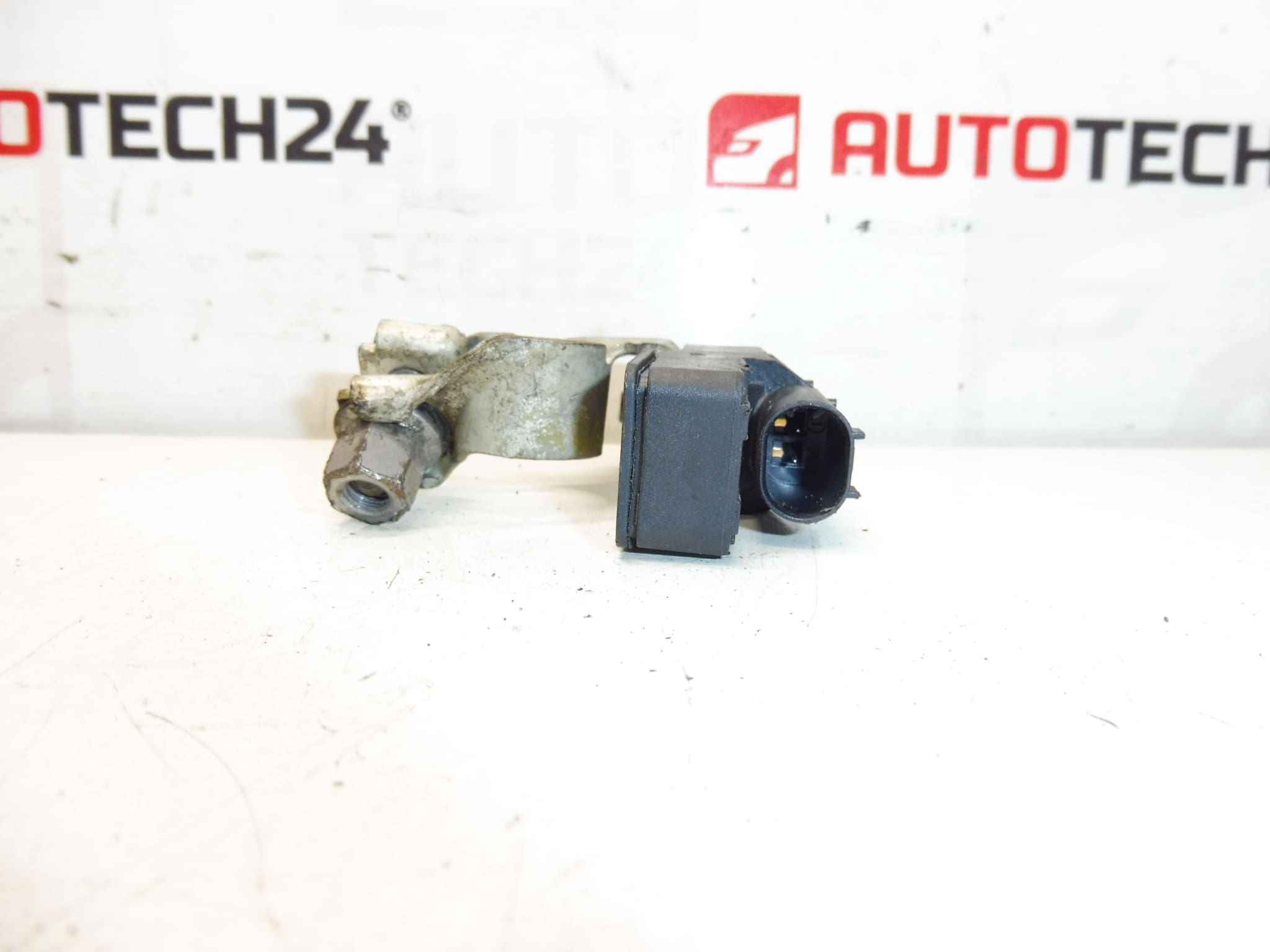 Bosch Citroën Peugeot 9838135480 acculader - Afbeelding 2