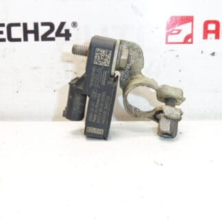 Bosch Citroën Peugeot 9838135480 acculader