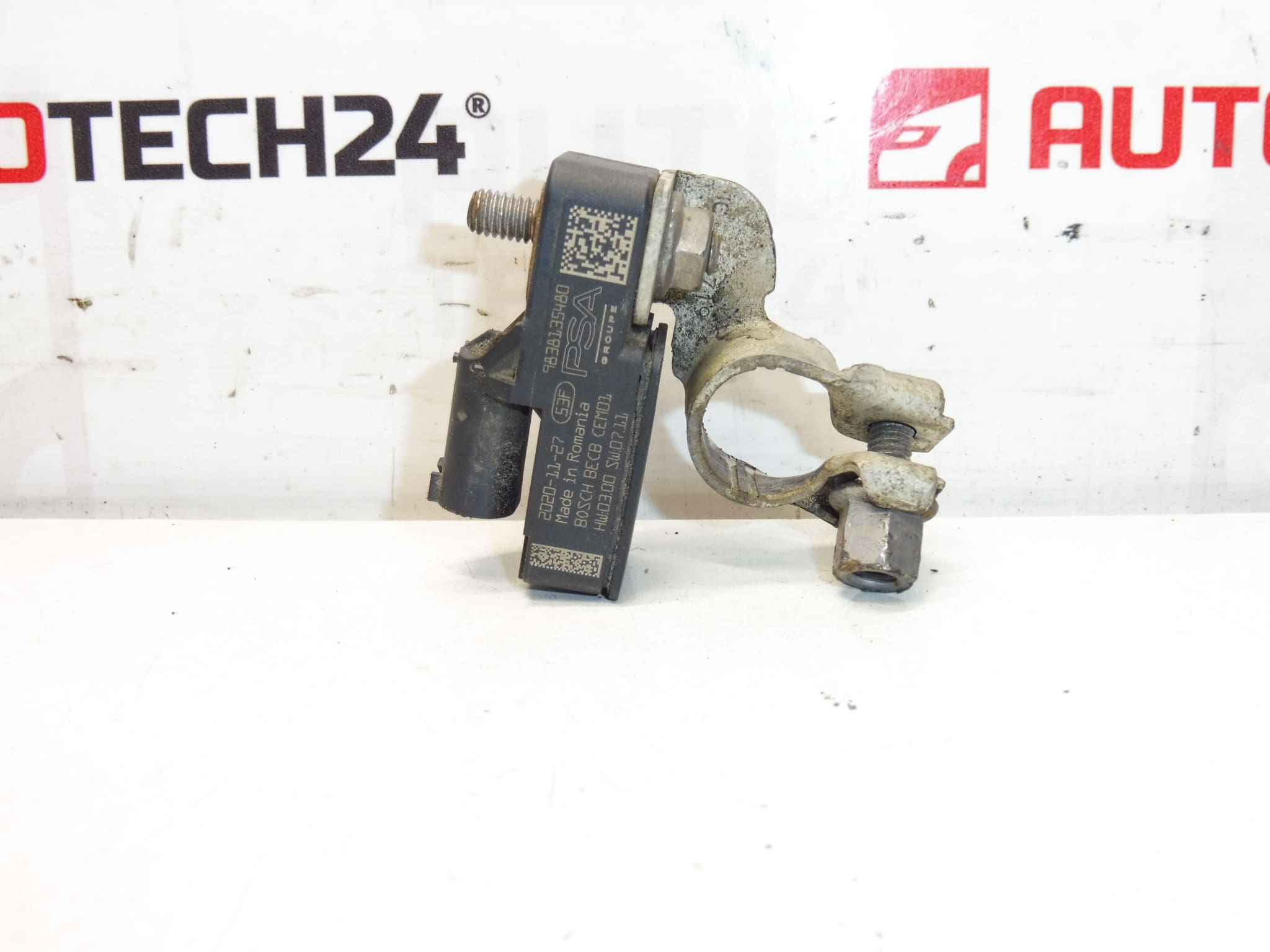 Bosch Citroën Peugeot 9838135480 acculader