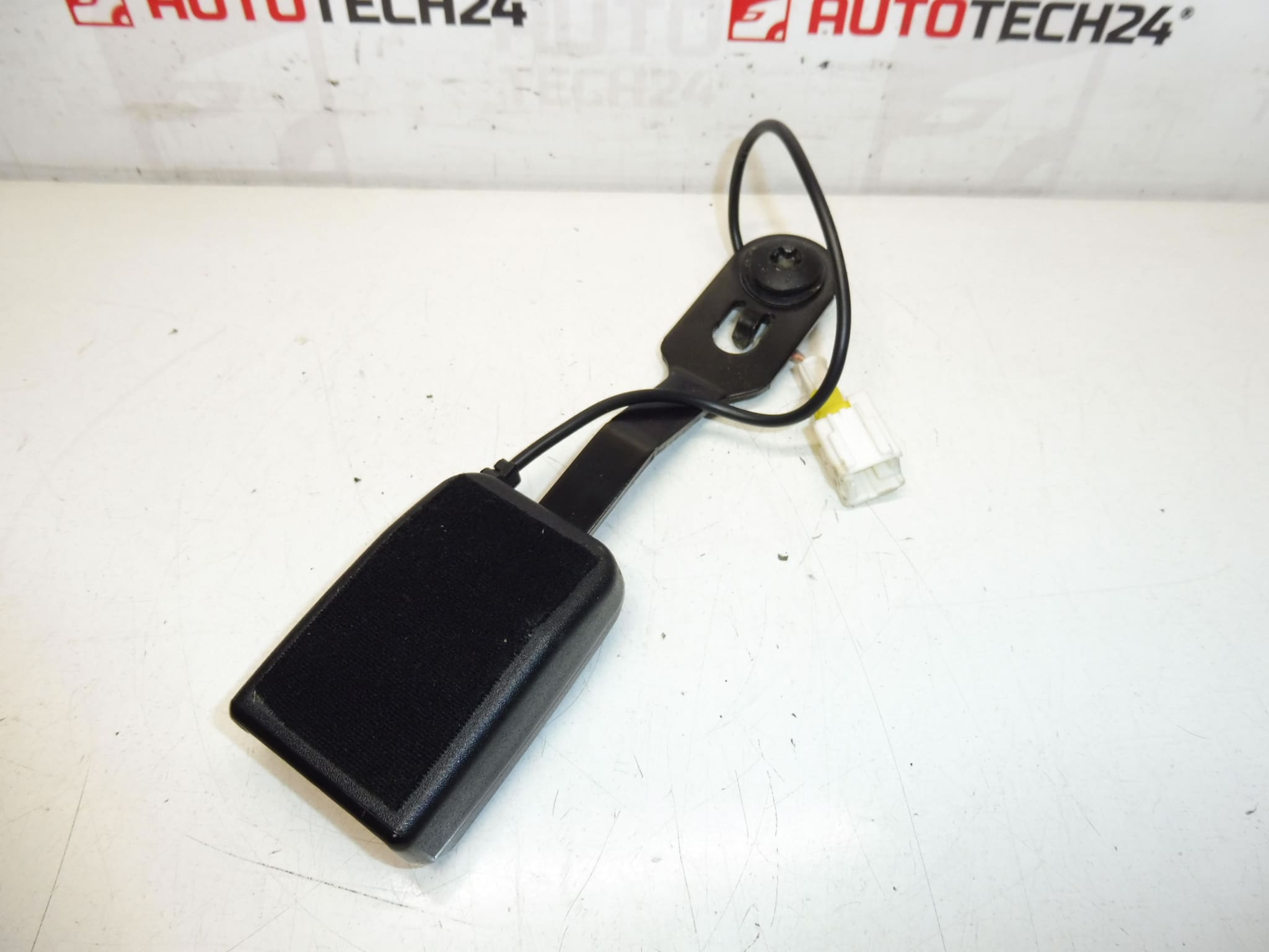 Peugeot 207 paspoorthouder 8975S9 - Afbeelding 2