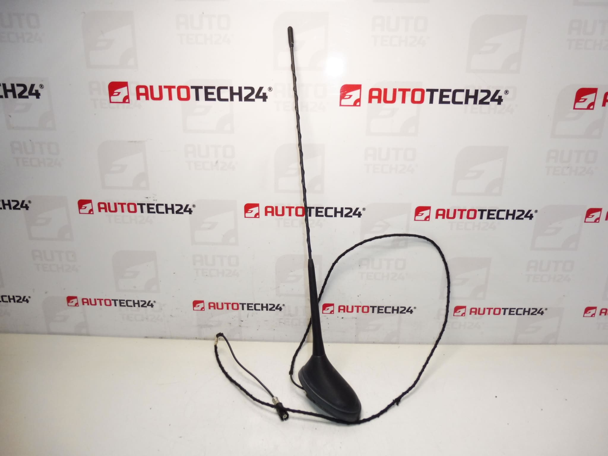 Antenne Peugeot 207 9651423580 6561GW 6561W5