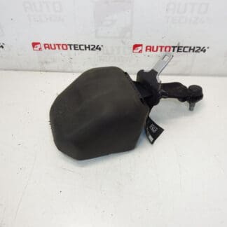 Veiligheidsgordel achter Citroen C3 II A51 DS3 98019948XX
