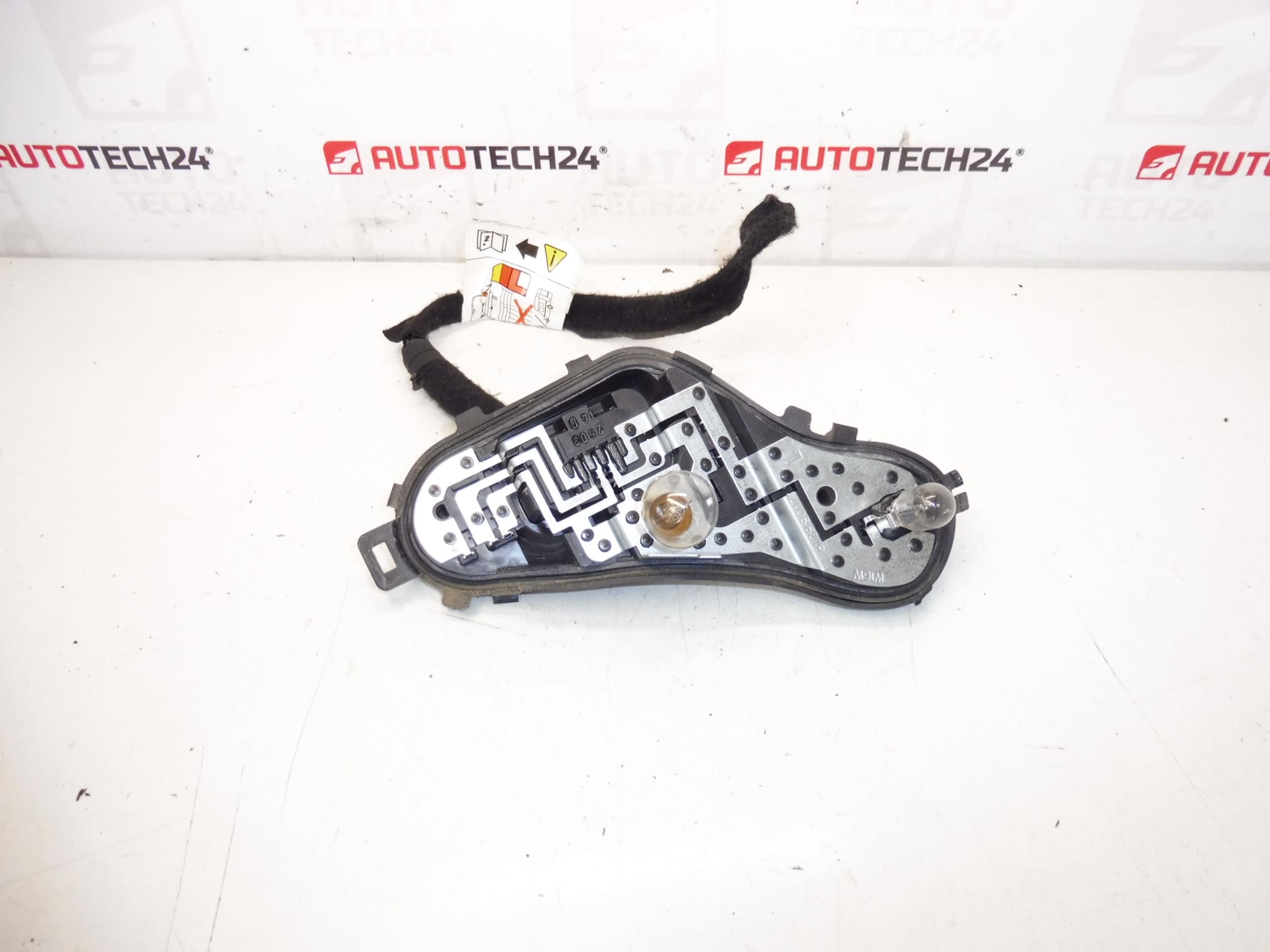 Peugeot 3008 lampfitting 9805510580