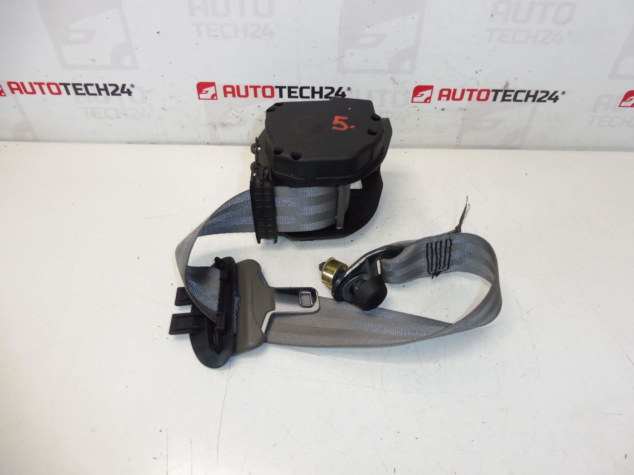 Veiligheidsgordel achter Citroën C5 II 96325577GW 8974W5