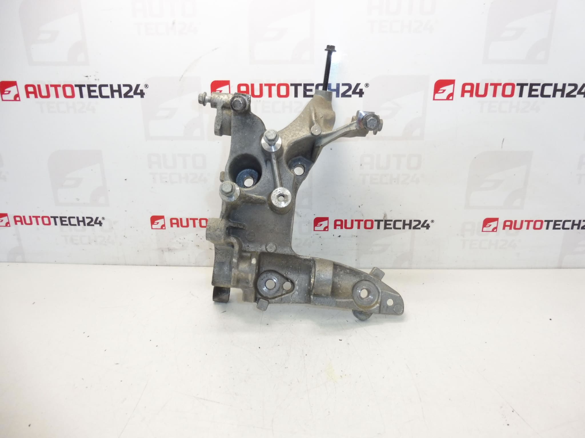 Dynamohouder Citroën Peugeot 9684613880 5706N9