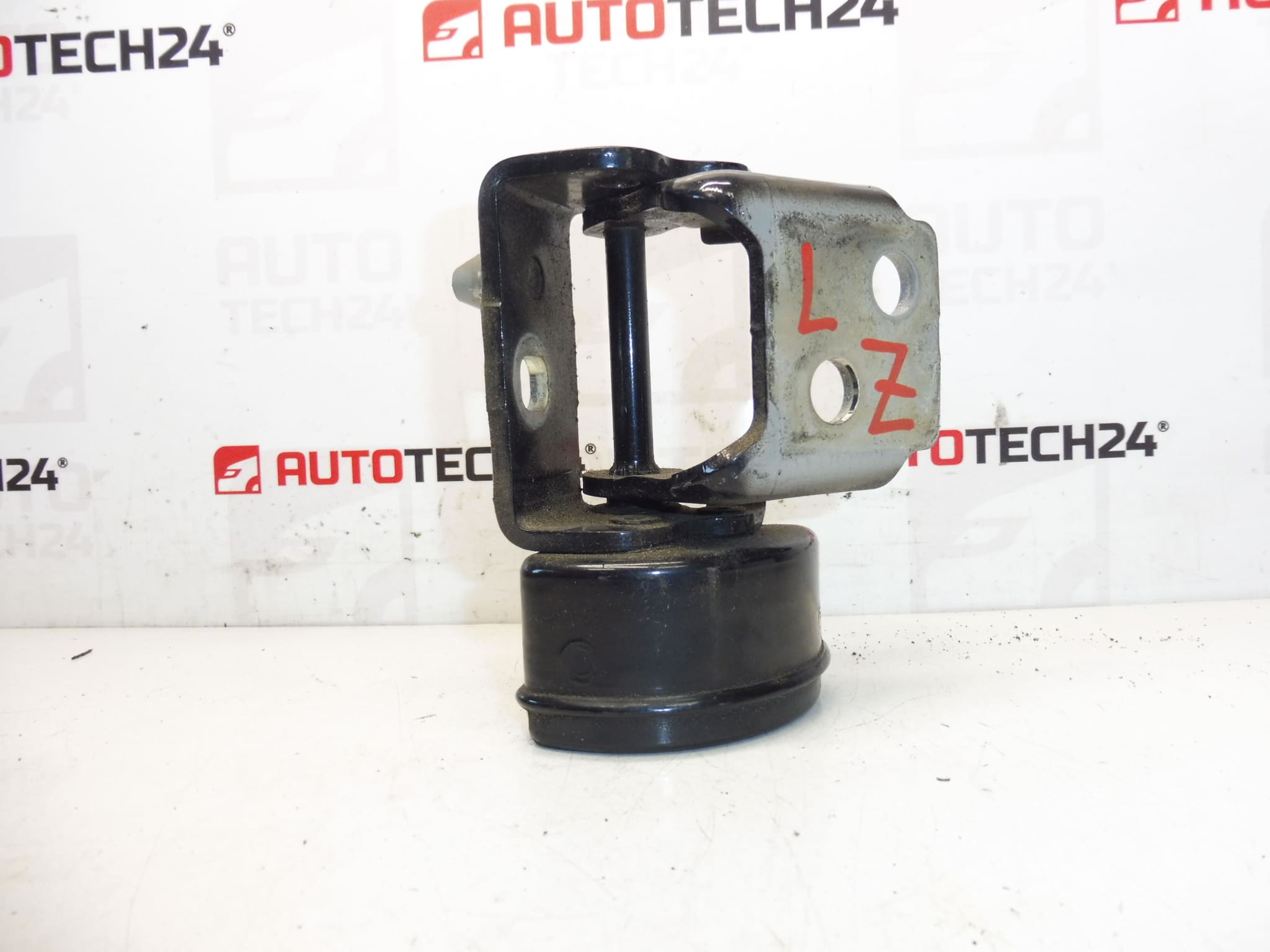Stop scharnier linksachter EXLD Peugeot 207 9037C1